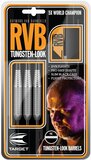 raymond van barneveld darts