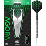 Target Agora A01 steeltip dartpijlen