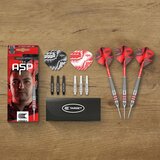 Target Nathan Aspinall Brass steeltip dartpijlen - 22 gram