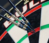 Bull's Mario Vandenbogaerde E3 90% steeltip dartpijlen