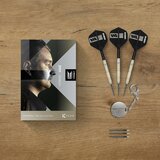 Target Dimitri van den Bergh 95K 95% Swiss Point steeltip dartpijlen