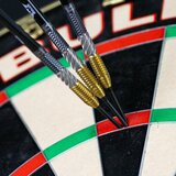 Bull's Dirk van Duijvenbode CP 95% steeltip dartpijlen