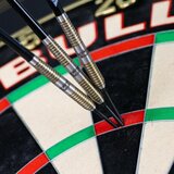Bull's Vintago Ghost CP Steeltip 90% steeltip dartpijlen_