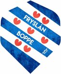 Bull's Powerflite D Std. Fryslân Boppe flights Bull's Powerflite D Std. Fryslân Boppe flights