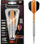 Target 80% Raymond van Barneveld steeltip dartpijlen Target 80% Raymond van Barneveld steeltip dartpijlen