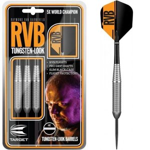 raymond van barneveld darts